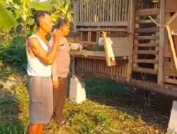 Bhabinkamtibmas Bangil Pantau Budidaya Ternak Kambing di Latek, Dukung Program P2B Asta Cita