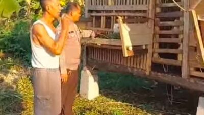 Bhabinkamtibmas Bangil Pantau Budidaya Ternak Kambing di Latek, Dukung Program P2B Asta Cita