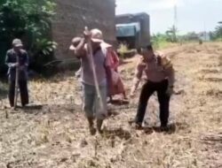 Polsek Tosari Pantau Lahan Kentang di Ngadiwono, Dukung Asta Cita Ketahanan Pangan