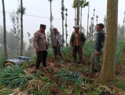 Bhabinkamtibmas Polsek Tosari Pantau Lahan Bawang Prei, Dukung Program Ketahanan Pangan Nasional