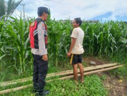 Bhabinkamtibmas Polsek Sukorejo Dampingi Kelompok Tani Optimalkan Lahan Produktif untuk Dukung Ketahanan Pangan