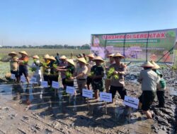 Tanam Padi Serentak di Beji, Kapolsek: Wujud Sinergi Pertahankan Swasembada Pangan