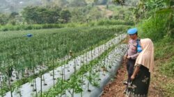 Img 20260709 Wa0063 Copy 469x352