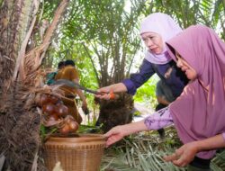 Khofifah Panen Salak Madu di Desa Wonoagung Malang, Dorong Hortikultura Jadi Penggerak Ekonomi Jawa Timur