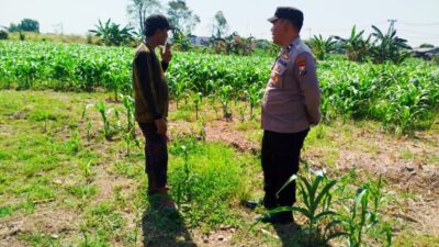 Bhabinkamtibmas Polsek Sukorejo Dorong Pemanfaatan Lahan Produktif untuk Dukung Ketahanan Pangan Nasional