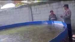 Tak Hanya Jaga Kamtibmas, Polisi di Rembang Dampingi Budidaya Lele Warga
