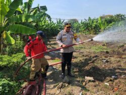 Hadapi Kemarau, Polres Pelabuhan Tanjungperak Siram Lahan Jagung Ketahanan Pangan
