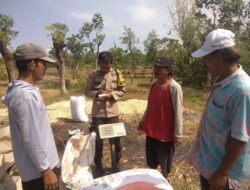 Polisi Dampingi Petani Bantu Distribusi 2,8 Ton Jagung Petani Rebono ke Bulog