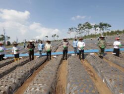 Dukung Swasembada Pangan, Polda Jatim dan Petani Tanam Bawang Putih Serentak