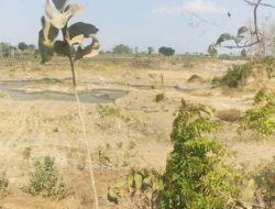 Pemkab Bojonegoro Hentikan aktivitas Galian C Di Dua Tempat