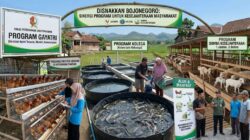 Penambahan Anggaran 10 Miliar Disnakkan Bojonegoro Untuk Genjot Program Kesejahteraan Warga