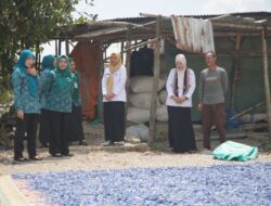 Inovasi Gerakan Sajak Desa Tebon Dapat Perhatian Serius TP PKK Kabupaten Bojonegoro