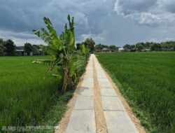Perkuat infrastruktur pendukung sektor pertanian, Pemkab Bojonegoro Terus Bangun Jalan Usaha Tani