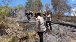 Polres Bondowoso dan Tim Gabungan Tembus Medan Ekstrem, Karhutla di Lereng Ijen Berhasil Dipadamkan