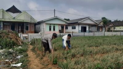 Bhabinkamtibmas Polsek Nongkojajar Pantau Tanaman Bawang Merah, Dukung Program Ketahanan Pangan