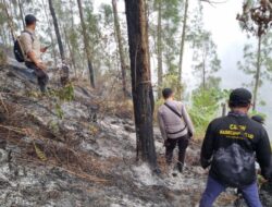 Tembus Ketinggian 1.800 MDPL, Tim Gabungan Polres Blitar Jinakkan Api di Gunung Buthak