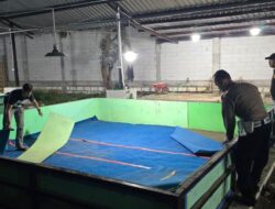 Respon Laporan Warga, Polresta Sidoarjo Bongkar Arena Sabung Ayam di Dua Lokasi