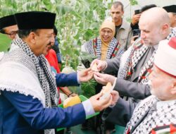 Gubernur Khofifah Ajak Tiga Tokoh Palestina Tinjau Inovasi Masjid Al-Akbar Surabaya, dari Kebun Melon Berbasis IoT hingga Budidaya Ikan dengan Air Olahan Bekas Wudu