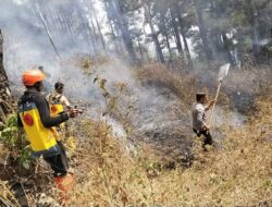 Polres Ngawi dan Tim Gabungan Jinakan Api di Gunung Botak, Medan Berat Jadi Tantangan